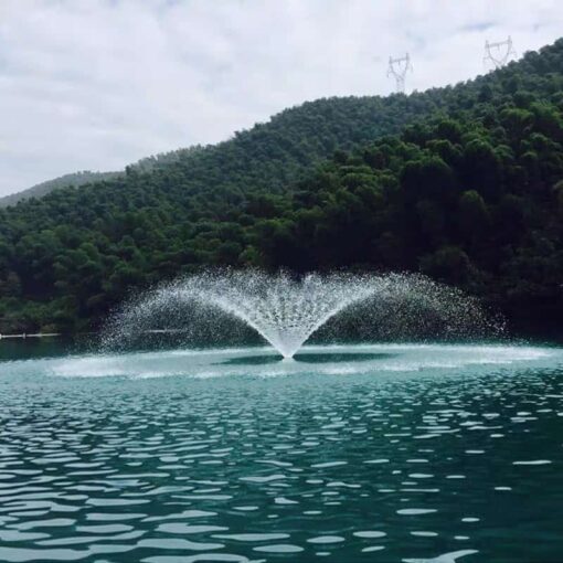 ảnh thực tế bơm oxy