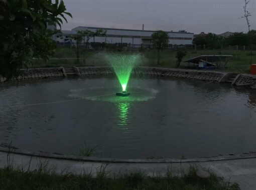 ảnh thực tế bơm oxy