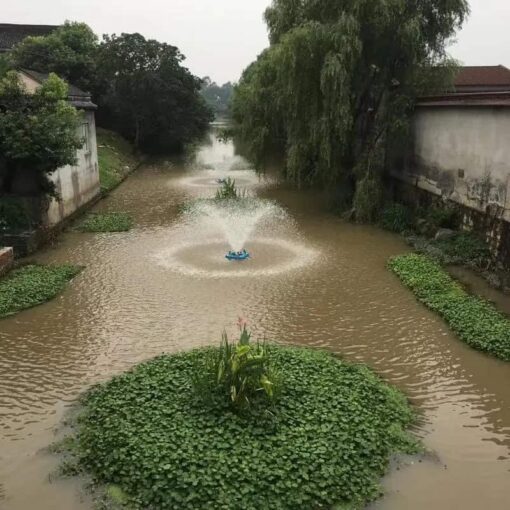 ảnh thực tế bơm oxy